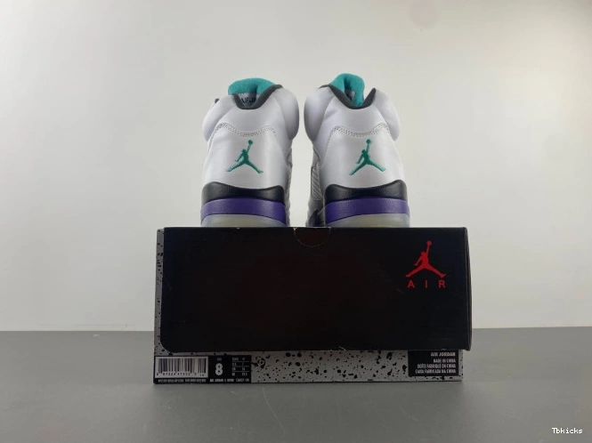 Cheap TBK (2013) Retro Grape Air Jordan 5 136027-108 0819